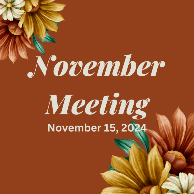 November 15, 2024 Meeting